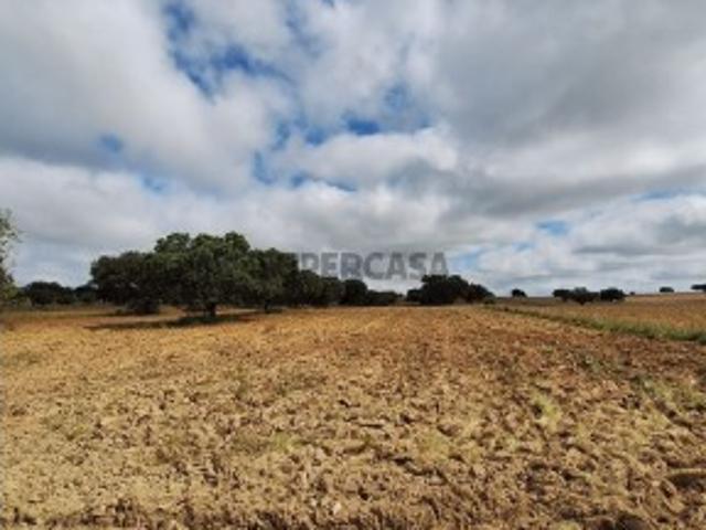 Terreno venda em Porto
