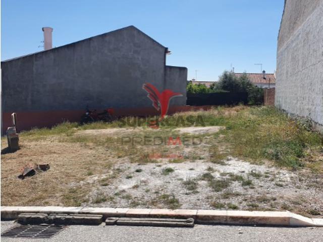 Terreno venda em Vila Viçosa Terreno venda em Vila Viçosa