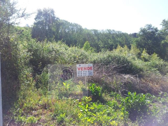 Terreno venda em Paredes, Bitarães