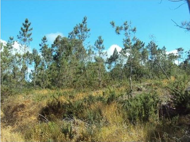 Terreno venda em Romarigães, Viana Do Castelo