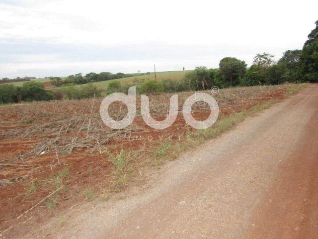 Terreno aluguel em Região Imediata de Piracicaba, Região Metropolitana de Piracicaba