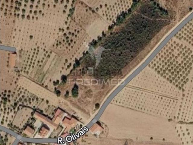 Terreno venda em Passos, Mirandela