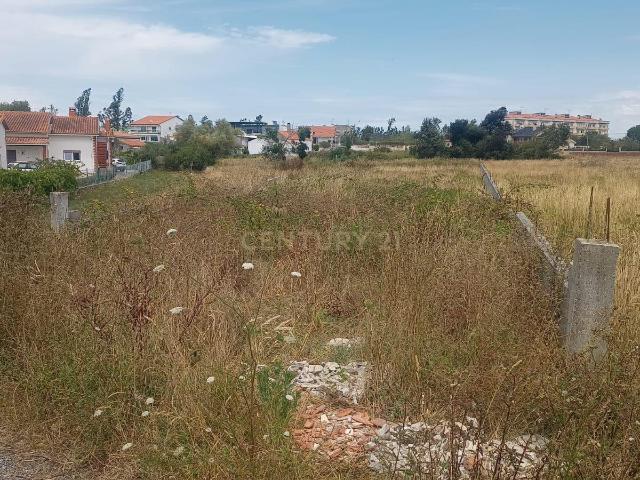Terreno venda em Alcobaça, Leiria
