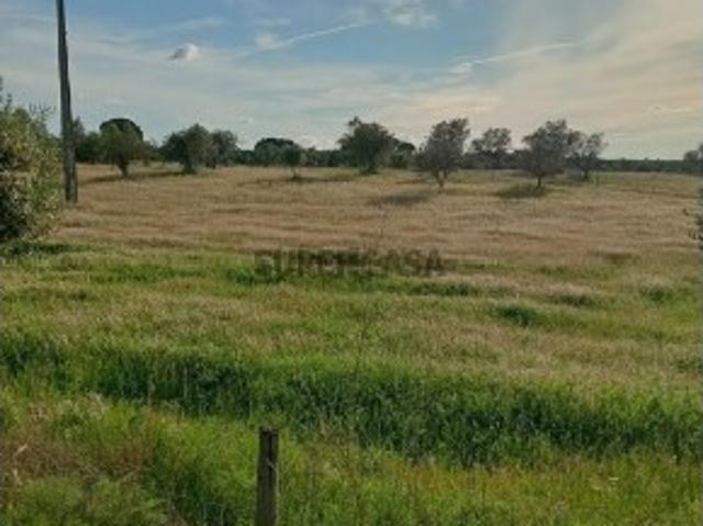 Terreno venda em Mora, Évora