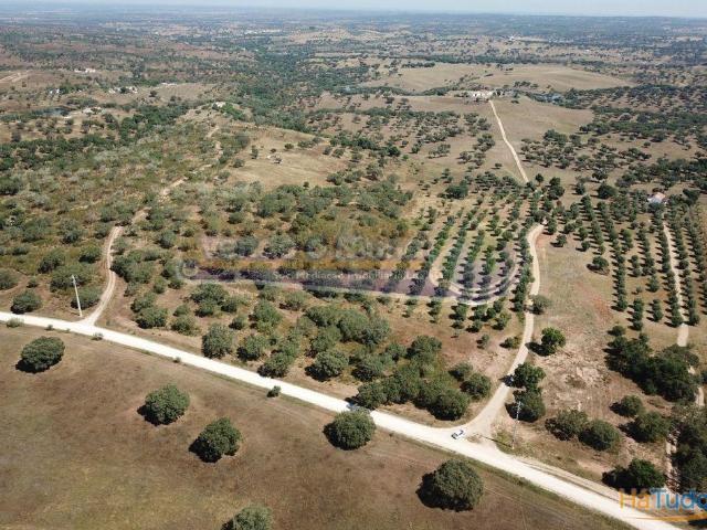 Terreno venda em Mora, Évora