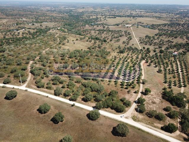 Terreno venda em Mora, Évora