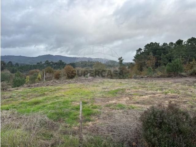 Terreno venda em Cabeceiras De Basto, Braga