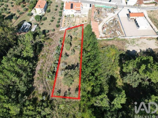 Terreno venda em Porto De Mós, Leiria