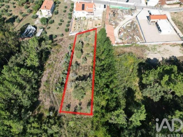 Terreno venda em Porto De Mós, Leiria