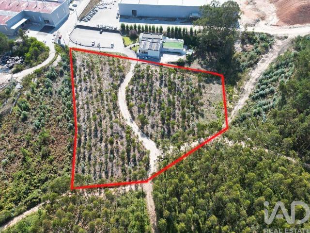 Terreno venda em Porto De Mós, Leiria