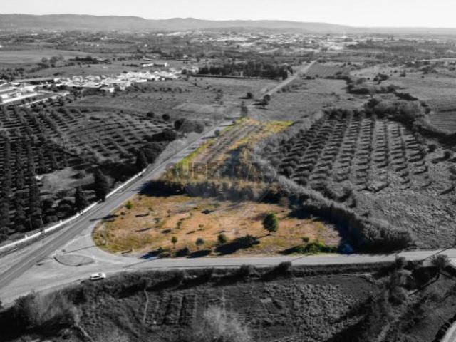 Terreno venda em Vidigueira, Pedrógão