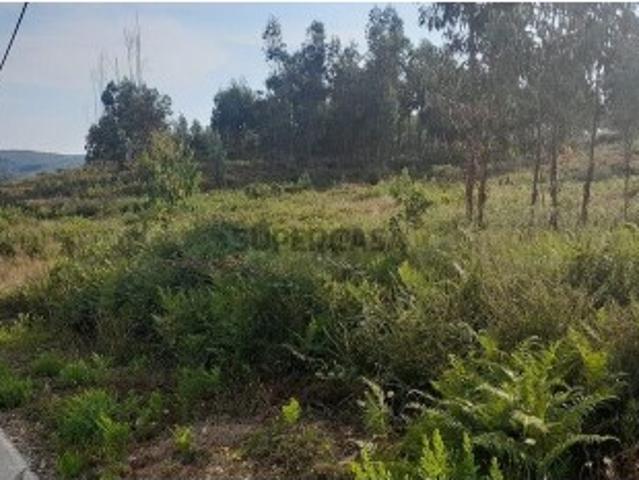 Terreno venda em Pedrógão Grande, Leiria