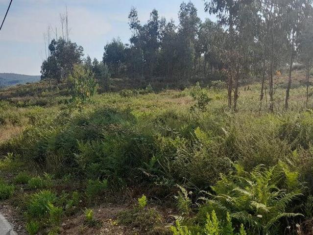 Terreno venda em Pedrógão Grande, Leiria