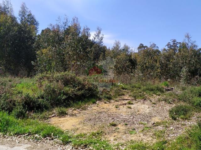Terreno venda em Castelo Branco, Cumeada