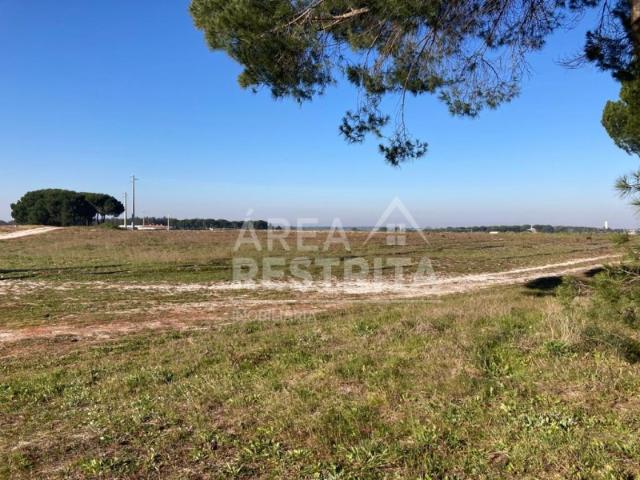 Terreno venda em Colonato de Santo Isidro de Pegões, Montijo