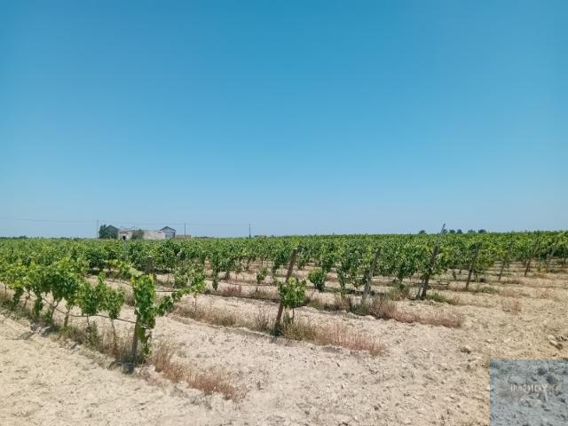 Terreno venda em Montijo, Setúbal