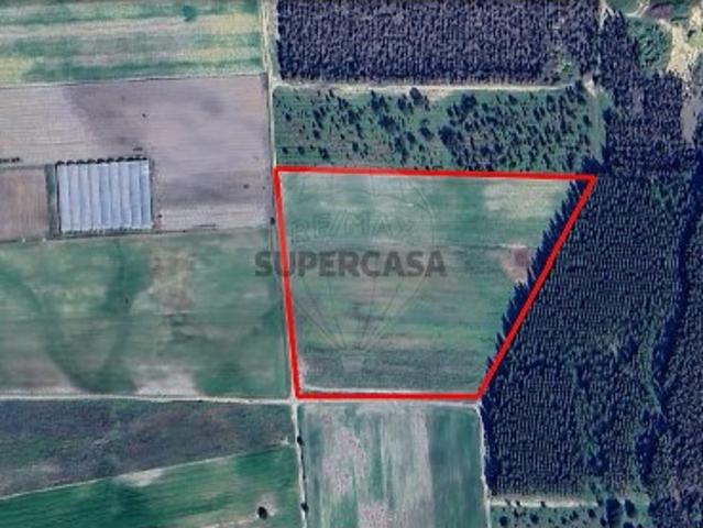 Terreno venda em Montijo, Setúbal