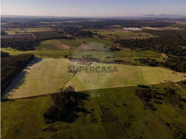 Terreno venda em Colonato de Santo Isidro de Pegões, Montijo