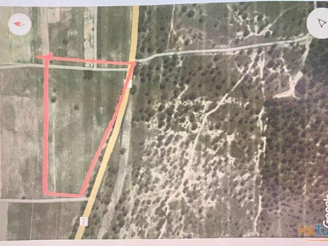 Quinta venda em Montijo, Setúbal