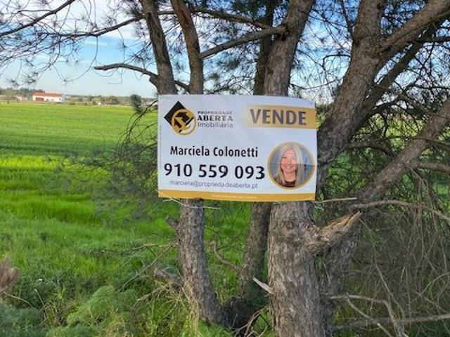 Quinta venda em Judia, Montijo