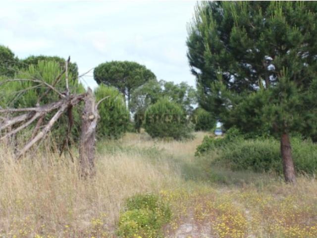 Terreno venda em Montijo, Setúbal