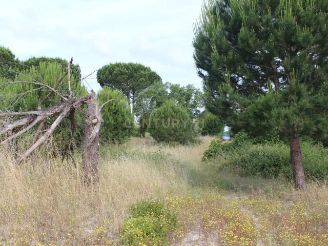 Terreno venda em Montijo, Setúbal