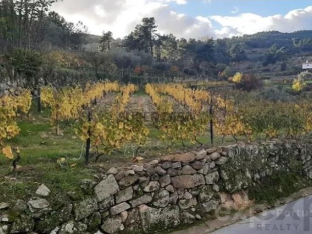 Terreno venda em Alijó, Vila Real