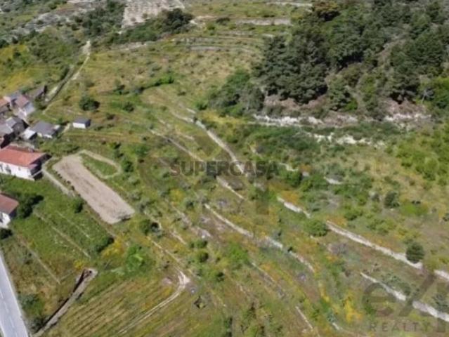 Terreno venda em Alijó, Vila Real