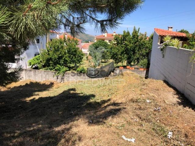 Terreno venda em Pego, Abrantes