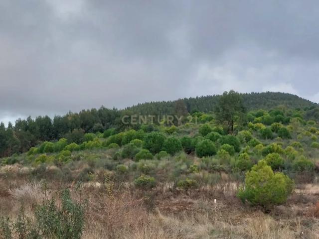 Terreno venda em Castelo Branco, Penamacor