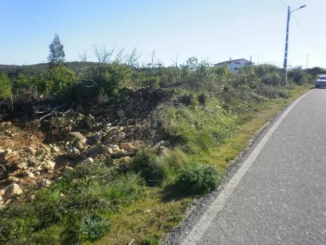 Terreno venda em Penela, Coimbra