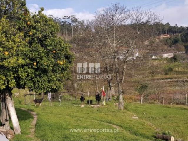 Terreno venda em Penha Longa, Porto