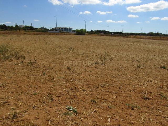Terreno venda em Pêra