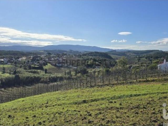 Terreno venda em Vermelha, Cadaval
