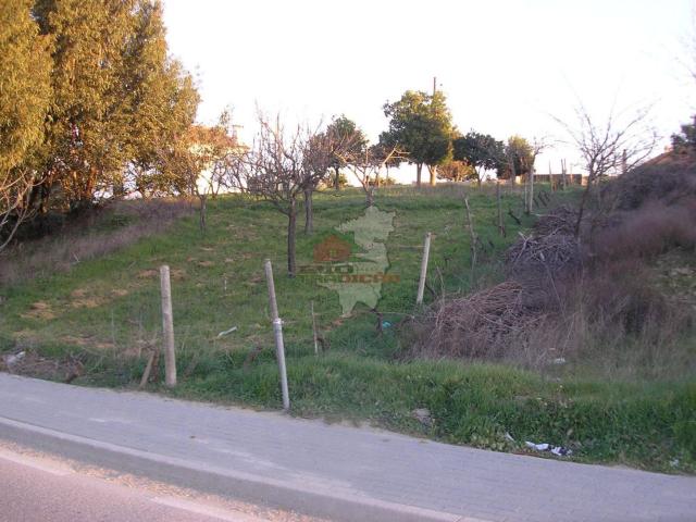 Terreno venda em Castelo Branco, Proença-a-nova