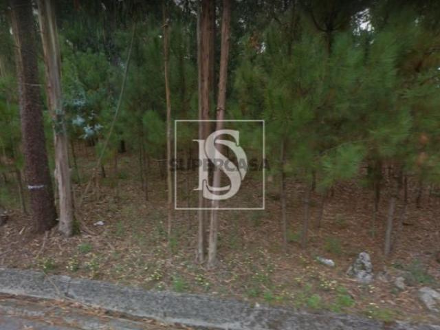 Terreno venda em Barcelos, Perelhal Terreno venda em Barcelos, Perelhal