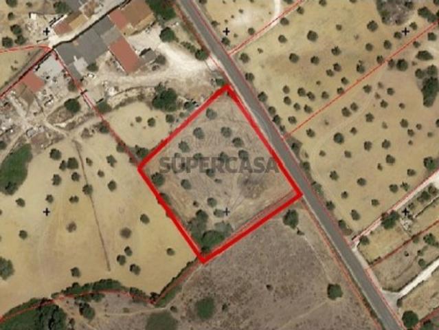 Terreno venda em Santarém