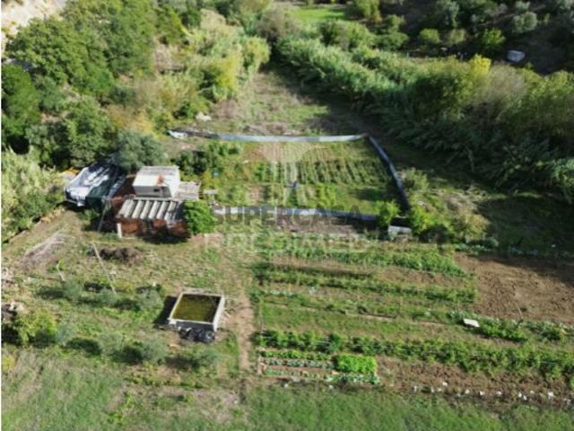 Terreno venda em Santarém