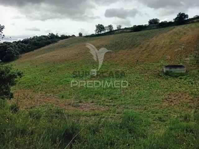 Terreno venda em Santarém