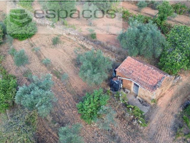 Terreno venda em Pero Viseu, Fundão