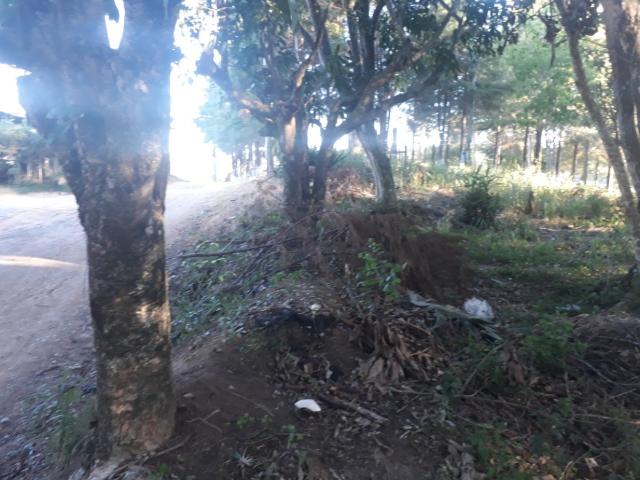 Terreno venda em Alto da Figueira, Ibiúna