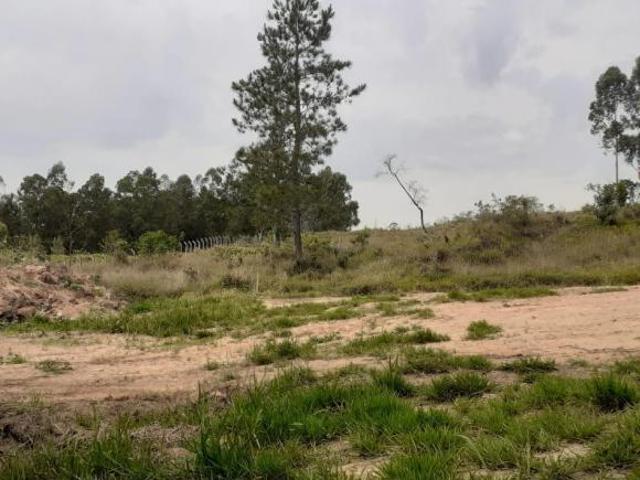 Terreno venda em Pilar do Sul