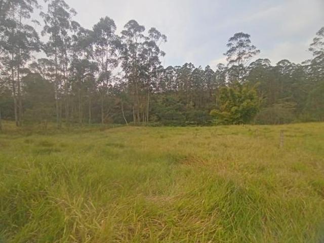 Terreno venda em Pilar do Sul