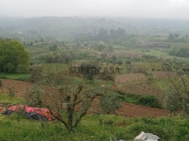 Terreno venda em Penalva Do Castelo, Moinhos Pepim Terreno venda em Penalva Do Castelo, Moinhos Pepim