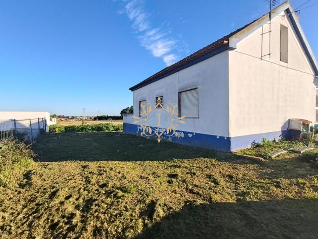 Terreno venda em Palhota, Palmela