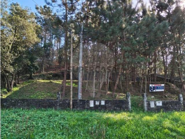 Terreno venda em Alviães, Oliveira De Azeméis