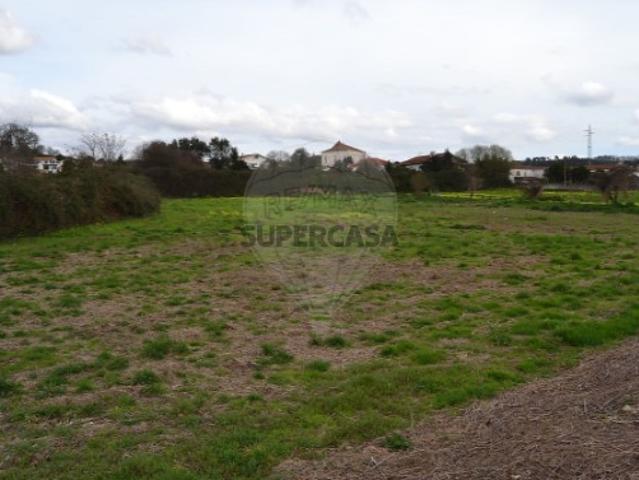 Terreno venda em Pinheiro da Bemposta, Travanca e Palmaz, Oliveira de Azeméis