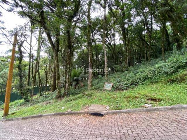 Terreno venda em Região Geográfica Imediata de Caxias do Sul, Canela