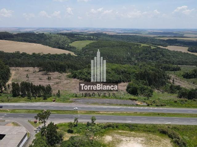Terreno venda em Região Geográfica Imediata de Ponta Grossa, Ponta Grossa