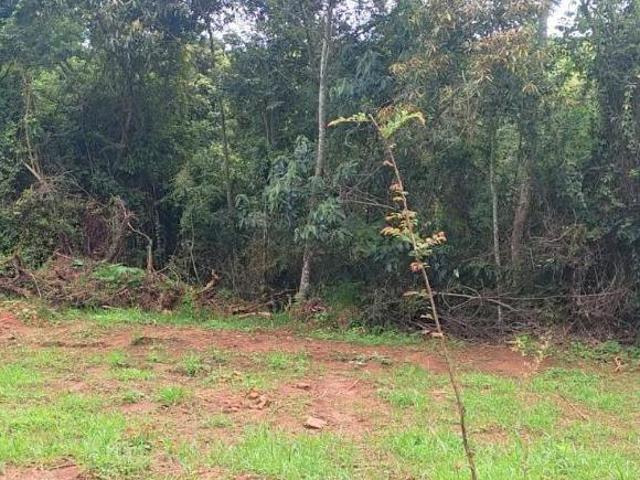 Terreno venda em Região Geográfica Imediata de Oliveira, Piracema